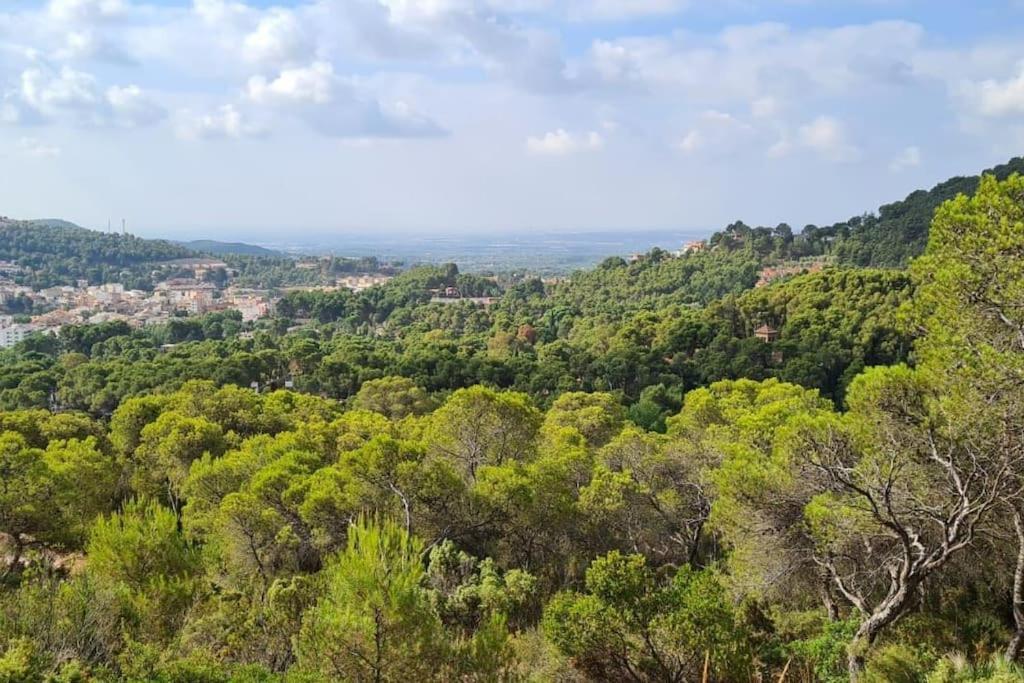 Acogedor Chalet Familiar En La Sierra Calderona Náquera Εξωτερικό φωτογραφία